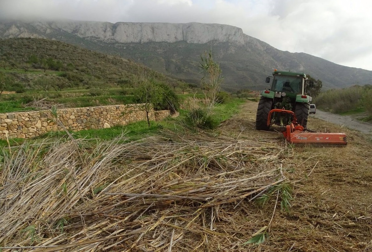 12/12/2018 Imagen de las labores de triturado de la caña invasora.

La Asociación Naturalistas del Sureste (ANSE) está sustituyendo parte de la caña invasora por arbustos autóctonos en el espacio protegido de La Muela-Cabo Tiñoso, en el término municipal de Cartagena, según informaron fuentes de esta organización en un comunicado.

POLITICA ESPAÑA EUROPA MURCIA SOCIEDAD
ANSE